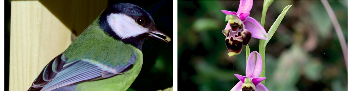 Site test-Carsan-Nature